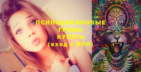 2c-b Абаза