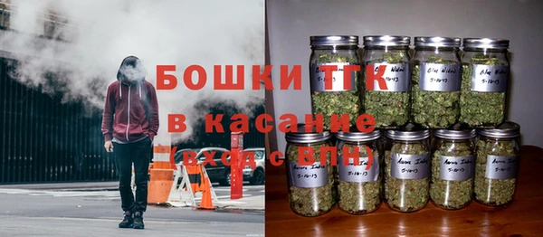 мет Лагань