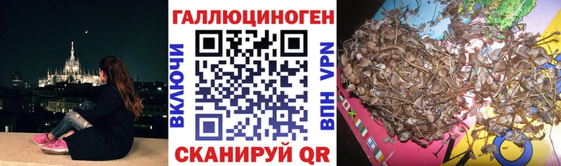KRAKEN сайт  наркошоп  Нестеровская  Галлюциногенные грибы прущие грибы 